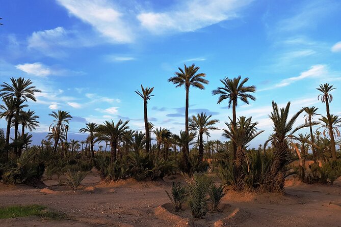 Sunset Camel Ride Tour in Marrakech Palm Grove - Pickup and Dropoff Details