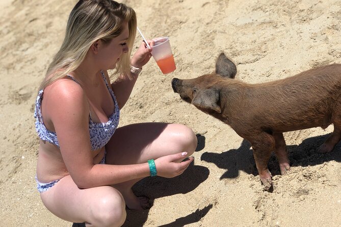 Swimming Pigs Beach Day+Snorkeling Bundle (Lunch+Tropical Drinks) - Accessibility and Restrictions