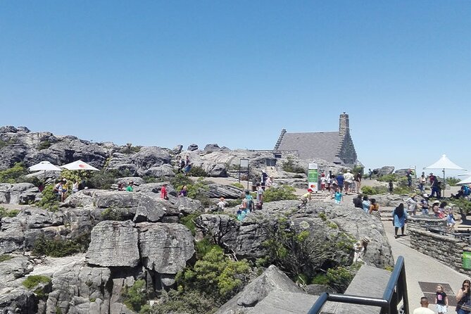 Table Mountain Tour - Tour Experience