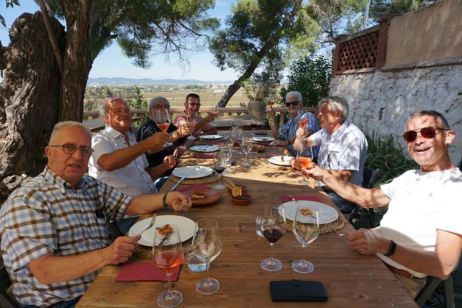 Tapas in the Vineyards - Highlights of the Tour