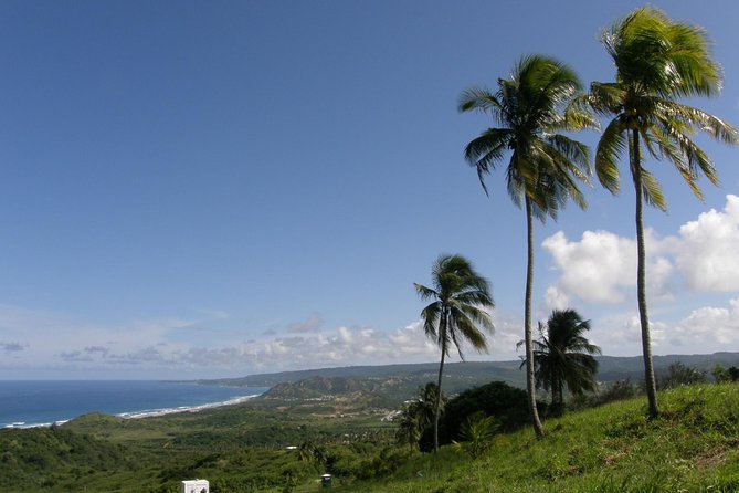 Taste of Barbados Full-Day Sightseeing Tour - Tour Duration and Capacity