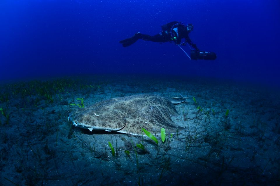 Tenerife: Diving With Underwater Scooter (DPV) - Equipment and Inclusions