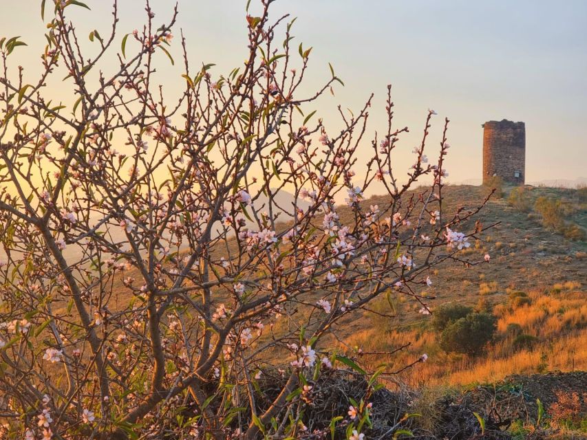 The Axarquia White Villages & Buddhist Stupa - SemiPrivate - Departure From Málaga