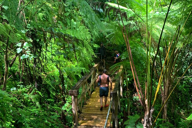 The El Yunque National Forest and Luquillo Beach Combo - Discovering Puerto Rican Heritage