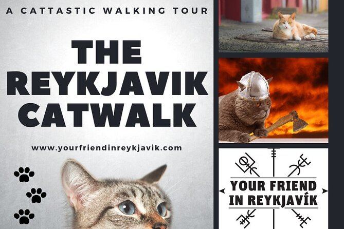 The Reykjavik Cat Walking Tour - Tour Details and Duration