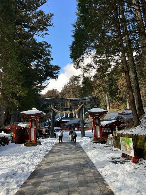 Tokyo: A Memorabele Snow Monkey Park and Zenkoji Temple Tour - Important Information and Recommendations