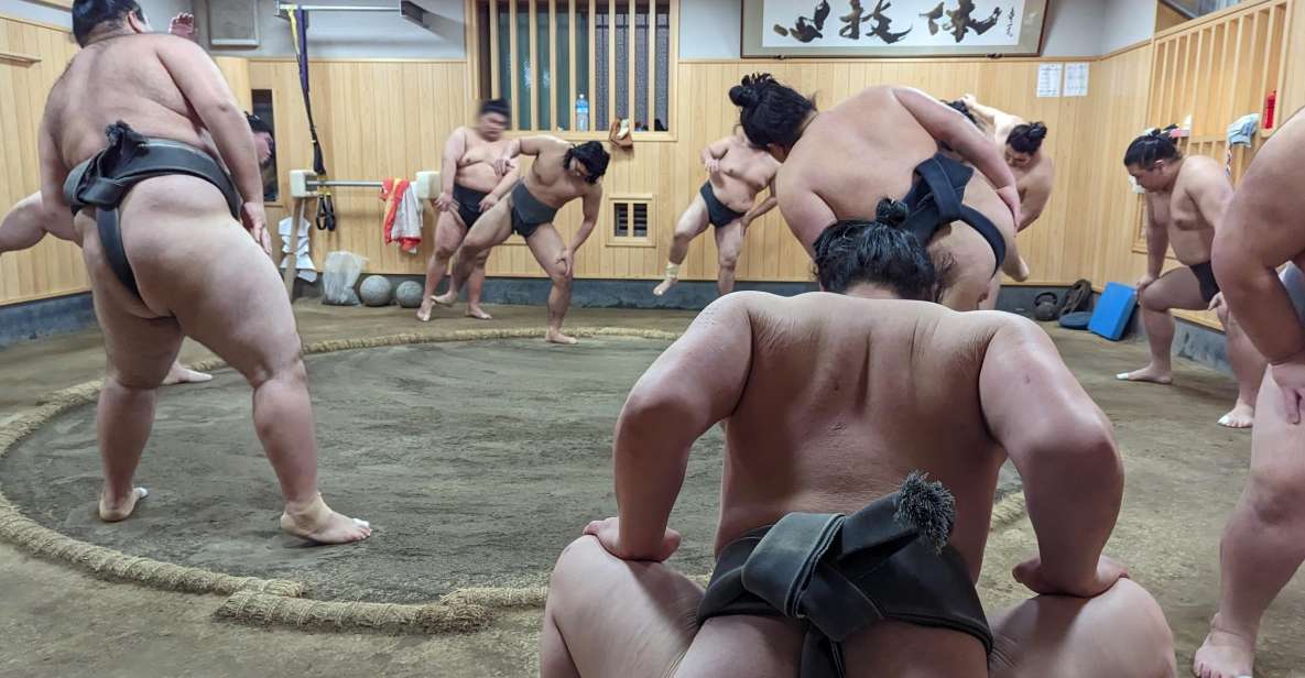 Tokyo: Morning Sumo Practice Viewing - Included Features