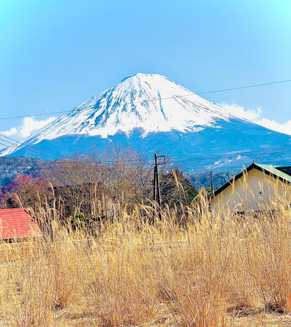 Tokyo: Mt Fuji and Hakone Full Day Private Tour - Itinerary Highlights