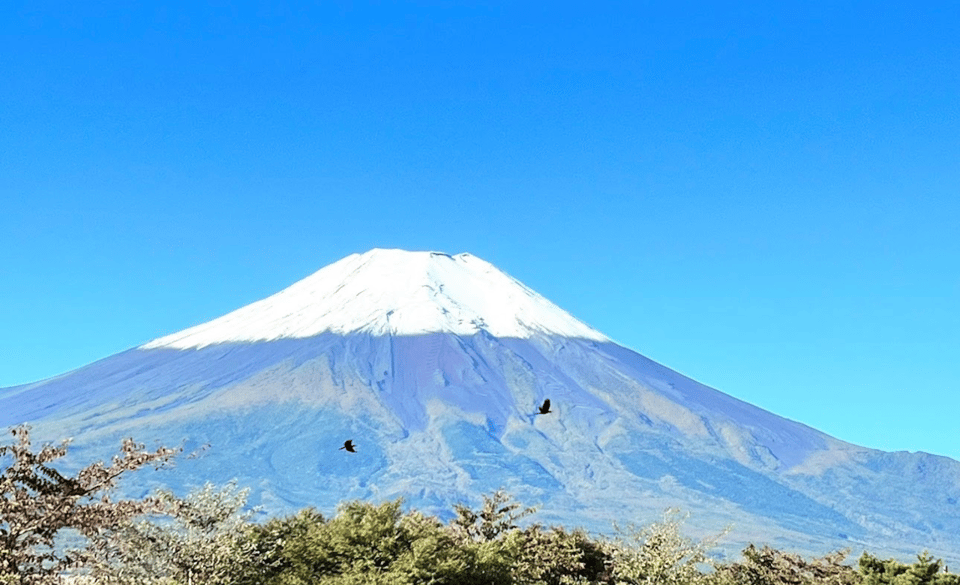 Tokyo: Mt. Fuji Private Day Trip With Hotel Pickup - Inclusions and Exclusions