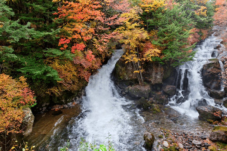 Tokyo: Nikko Highlights Tour With Temples, Waterfalls & Lake - Preparation and Recommendations