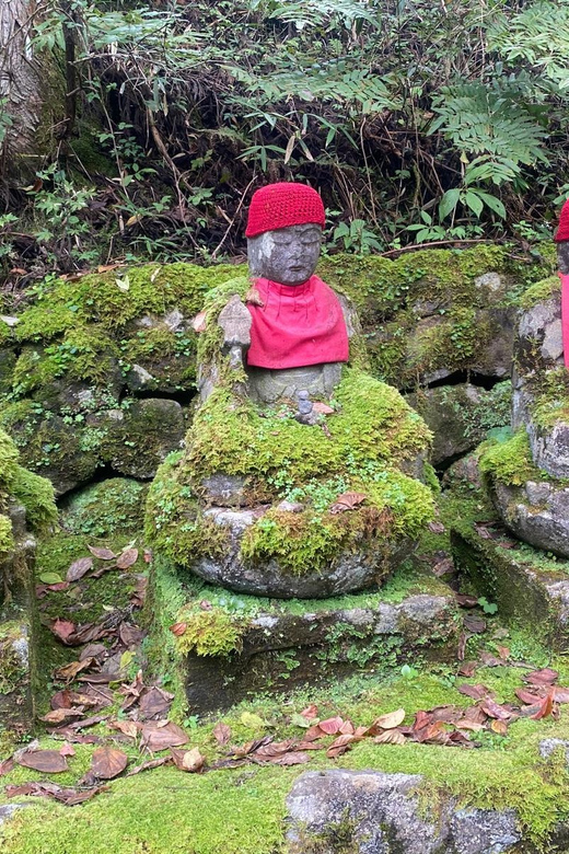 Tokyo: Nikko World Heritage Private Tour By English Guide - Important Information