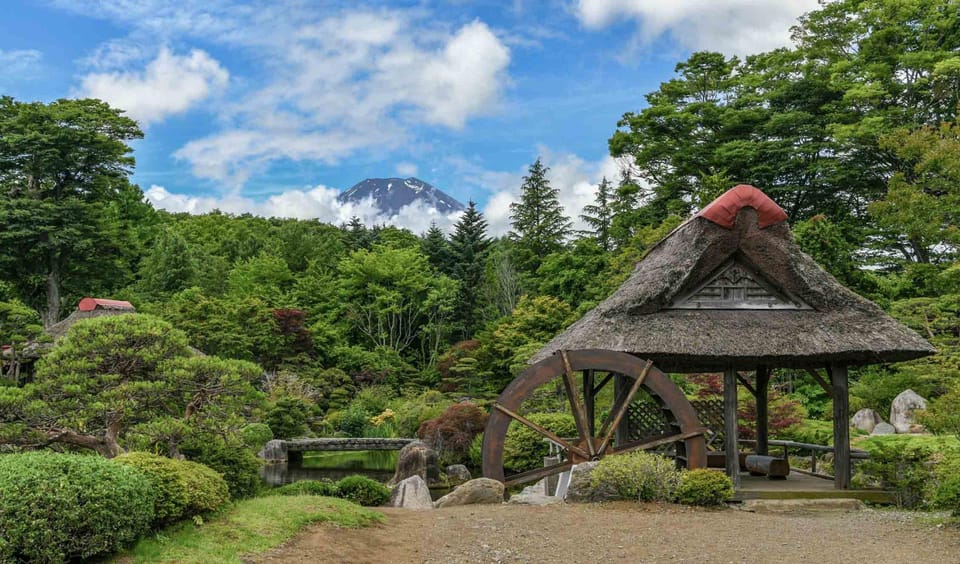 Tokyo: Private Mount Fuji Tour With Pickup and Drop-Off - Customer Reviews and Ratings