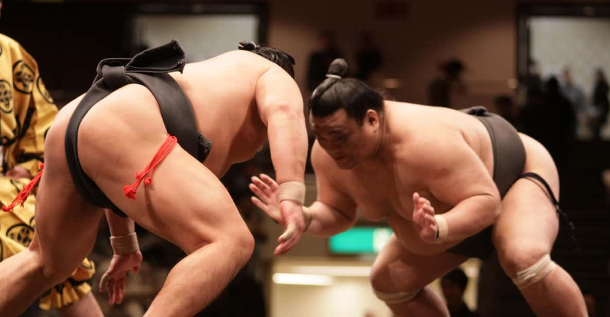 Tokyo Sumo Wrestling Tournament Review - Itinerary and Experience