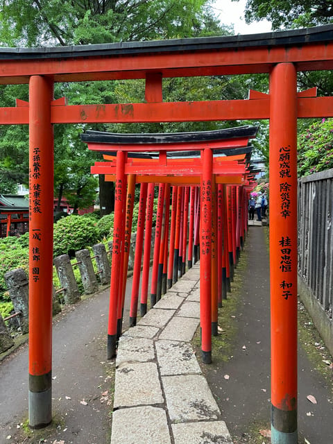 Tokyo Tour Review: Tradition Meets Luxury - Cultural Experiences