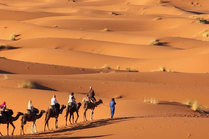 Tour 3 Days 2 Nights to Merzouga Desert From Marrakech - Pickup Information