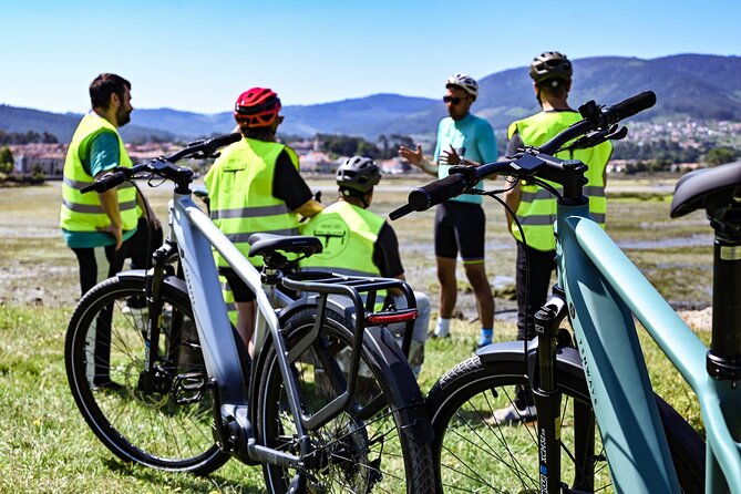 Tour of the Main Points of Interest and the Coast of Vigo - Traversing Castrelos Park