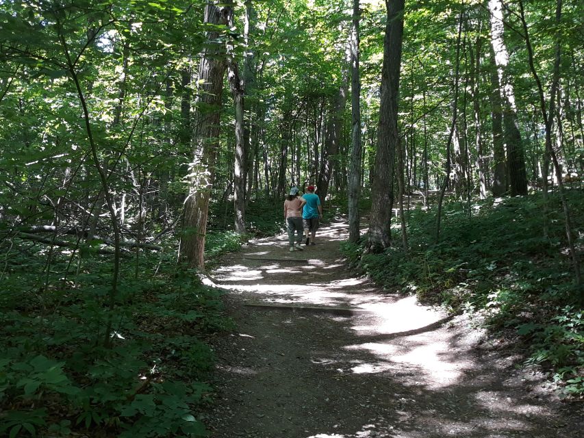 Traverse City: 6-Hour Tour of Sleeping Bear Dunes - Scenic Pierce Stocking Drive