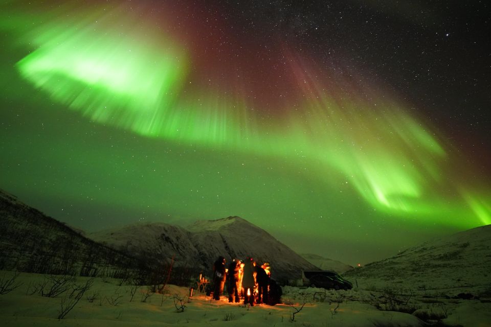 Tromsø: Northern Lights Tour With Free Professional Portrait - Experience Highlights