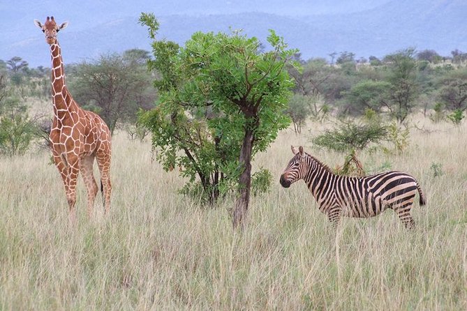 Tsavo East and Ngutuni Sanctuary Safari 3 Days From Mombasa - Inclusions