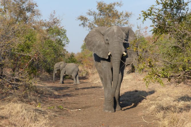 Upper Zambezi Canoeing - Inclusion and Exclusion