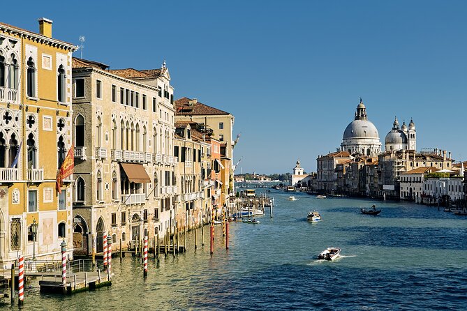 Venice Sightseeing Walking Tour for Kids and Families - Rialto Bridge Exploration