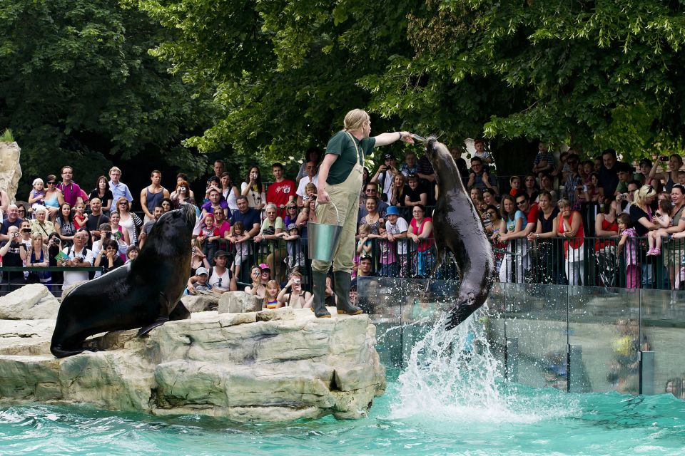 Vienna: Skip-the-line Tickets for Schönbrunn Zoo - Panda Bear Highlights