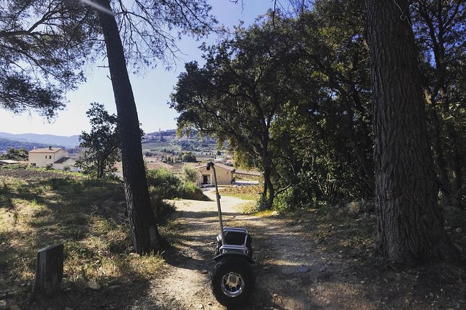 Vineyard Visit by Segway, Tour of Cellar & Tasting Wines of Bandol - Experiencing the Tasting Lineup