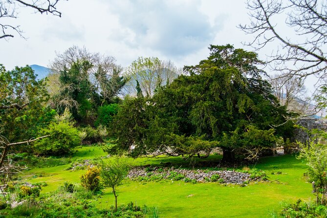 Visit Innisfallen Island - Boat Trip From Killarney