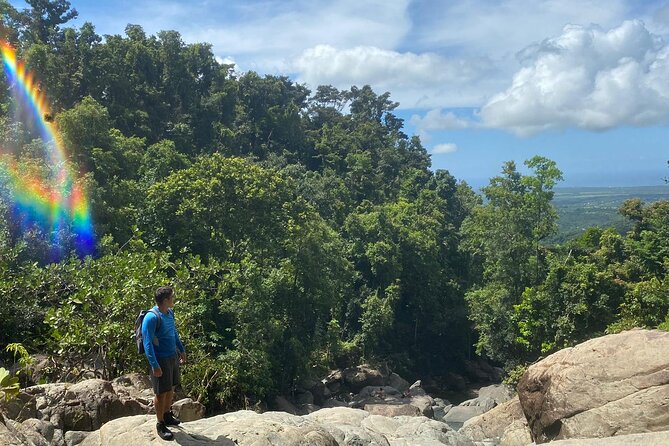 Waterfall Hike in Remote Area of El Yunque Rainforest; San Juan - Flora and Fauna Spotting