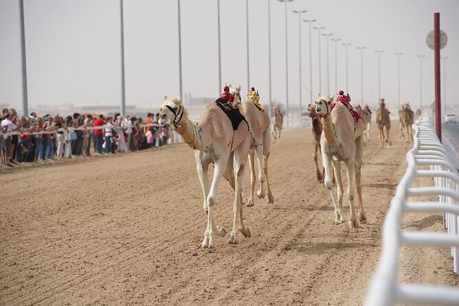 West Coast and Camel Race Track Visit - Tour Inclusions