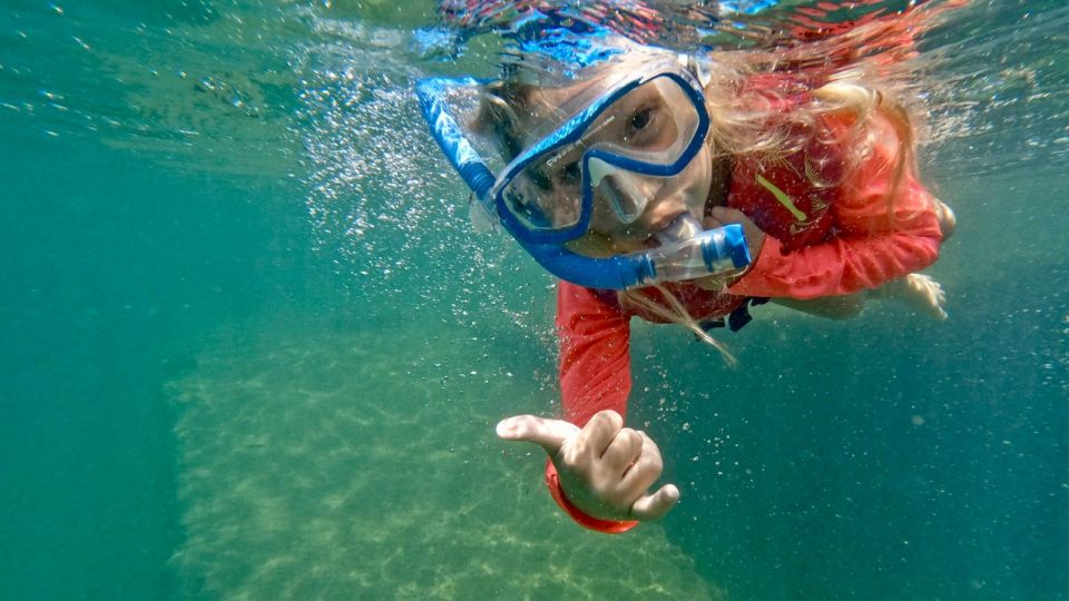 West Palm Beach: Beginner Snorkeling Adventure With Videos - Guided Snorkeling Experience