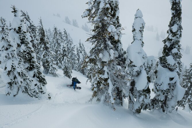 Whistler Backcountry Skiing and Splitboarding - Cancellation Policy