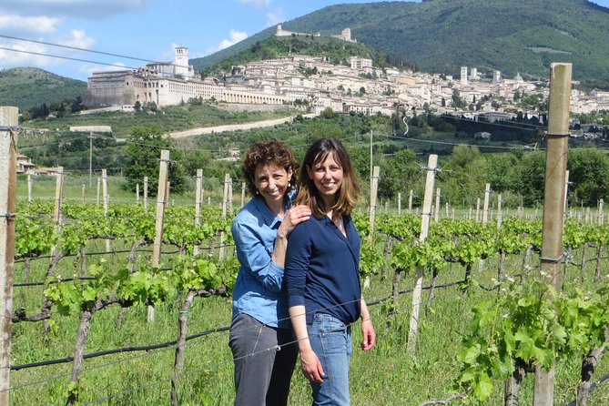 Wine Tasting and Walk in the Vineyard of Assisi - Vineyard Walk