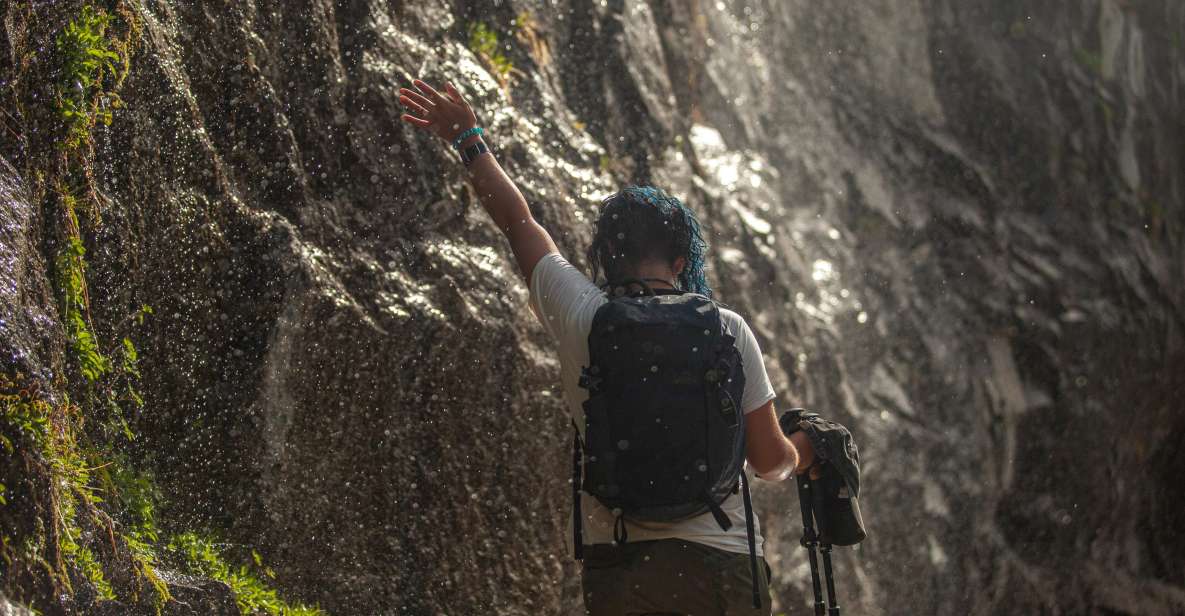 Yosemite National Park Guided Hike and Tour - Witness the Giant Sequoias