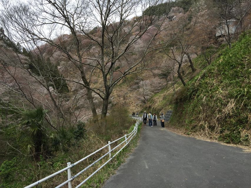 Yoshino: Private Guided Tour & Hiking in a Japanese Mountain - Included Services