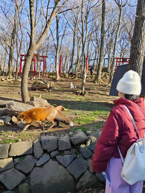 Zao Fox Village 1-Day Tour Review - Strawberry Picking