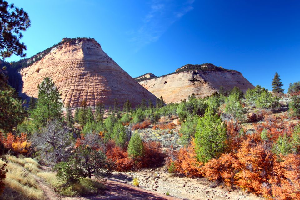 Zion National Park: Self-Driving Audio Guided Tour - Booking and Pricing