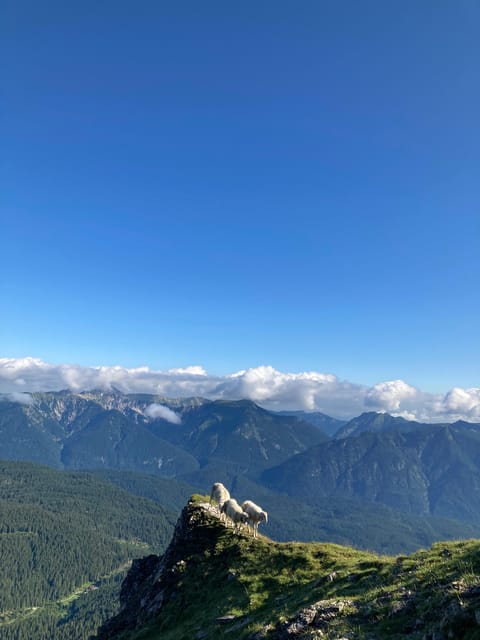 Zugspitze: Hiking Down via Gatterl to Ehrwald - Hiking Route