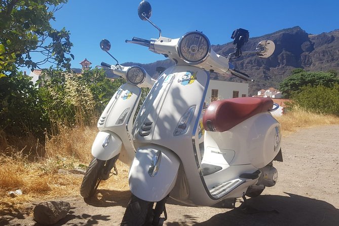 1 Day Vespa | Gran Canaria by Vespa GPS Guided Tour - Health and Accessibility