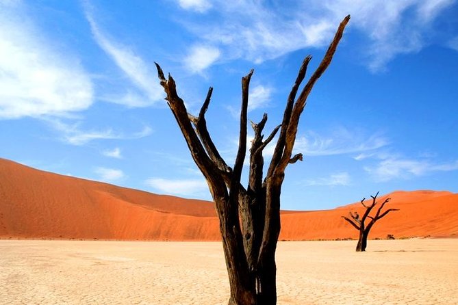 10-DAY Namibia Hightlights Guided Tour From Windhoek - Booking Requirements