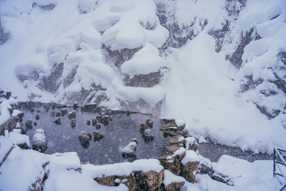 2-Day Snow Monkey Tour: Nagano To Takayama via Matsumoto - Snow Monkey Park Exploration