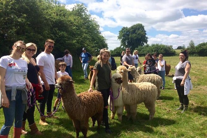 2-Hour Alpaca Farm Experience in Kenilworth - Accessibility Information