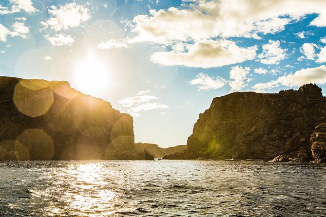 2 Hour Boat Tour in Twillingate - Weather and Cancellation Policy