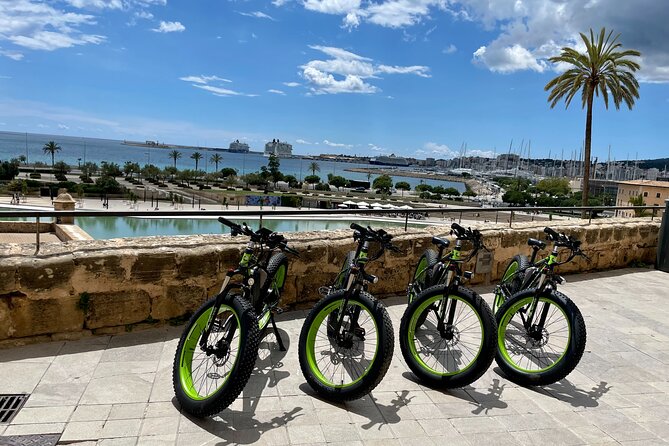 2-Hour Exclusive Fat Tire E-Bike Tour in Palma - Cancellation Policy