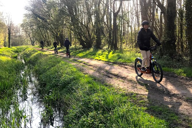 2 Hours Discovery Tour of Versailles on Electric 2 Wheels - Safety Precautions