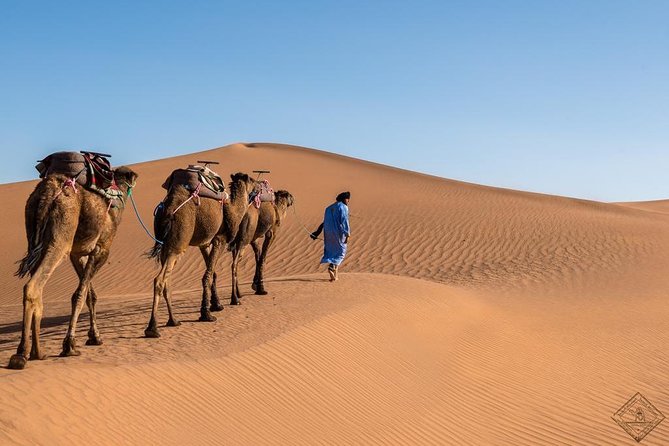 3 Day Luxury Tour: Sahara Desert & Luxury Camp From Marrakech - Cancellation Policy