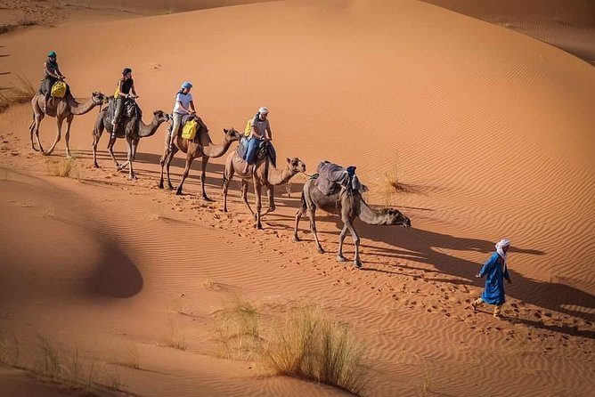 3 Day to Sahara Desert Trip From/To Marrakech - Additional Information