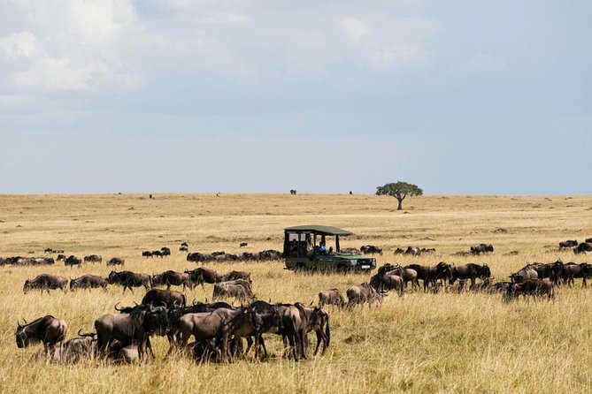 3 Days Maasai Mara Guided Safari From Nairobi - Mara River and Scenery