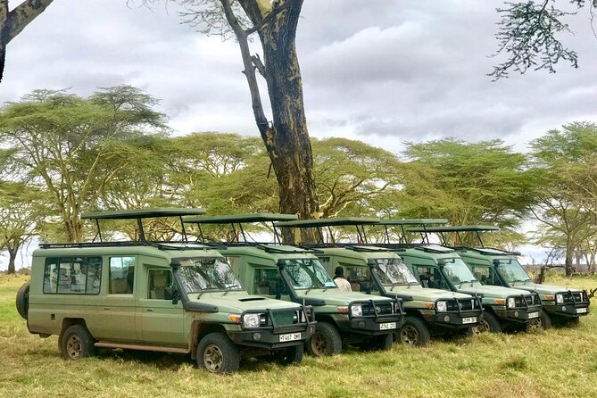 4 Days Tanzania Safari Tour - Accessibility and Health