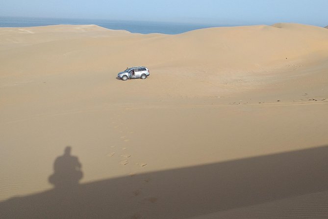 4 Hours.Agadir : Trip to Sahara and Tifnit Fishing Village - Customer Reviews